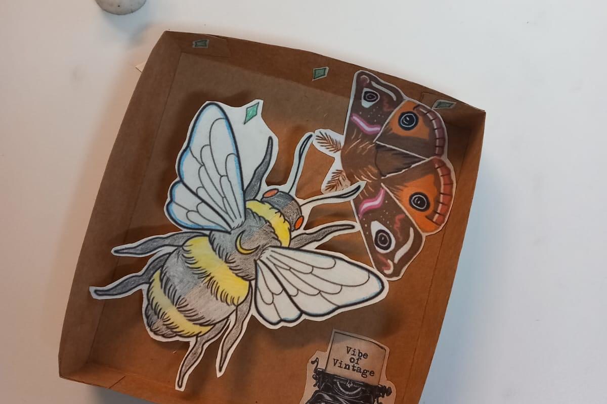 Make your own bug box