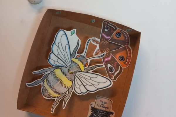 Make your own bug box