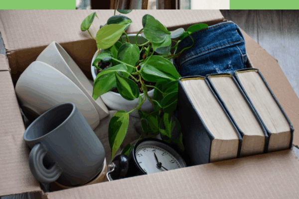 Packing box containing mugs, books, a clock and a plant