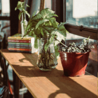 plans and books on a sunny window sill