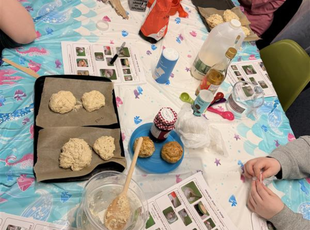 dough rolls formed and placed on baking trays